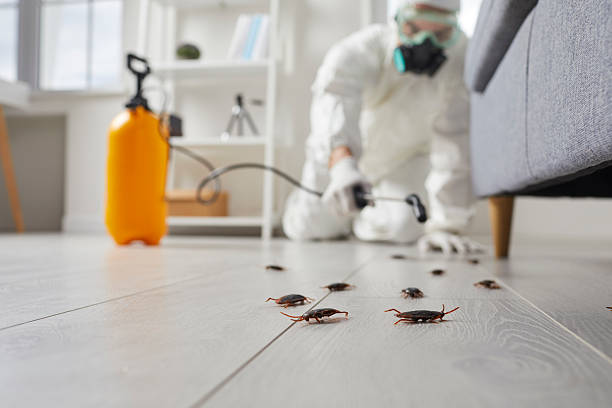 Post-Treatment Bed Bug Interceptor Monitoring in Swedesboro